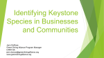 Identifying Keystone Species in Businesses and