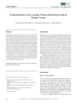 Endometriosis in the Lumbar Plexus Mimicking a Nerve Sheath Tumor