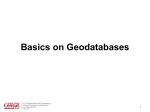 Basics on Geodatabases - UN-GGIM
