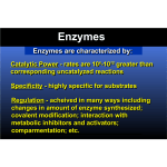 Enzymes Enzymes are characterized by