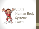 Unit 5 Human Body Systems * Part 1