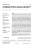 Soil phosphorus heterogeneity promotes tree species diversity and