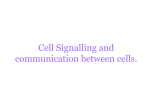 Cell Signalling and communication between cells.