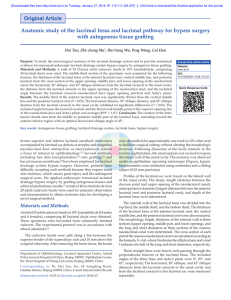 Original Article Anatomic study of the lacrimal fossa and