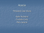 Acadia - IT, Sligo