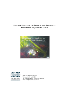 subtidal survey of the physical and biological features of esquimalt