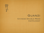 Chinese Double Reed Instrument