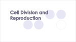 Cell Division - Muchin College Prep Wiki