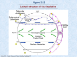 Latitude structure of the circulation Figure 2.12