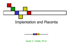 Implantation and Placenta