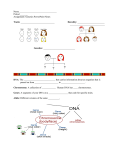 Genetics PowerPoint Notes