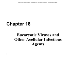 Chapter 18 Eucaryotic Viruses and Other Acellular Infectious Agents