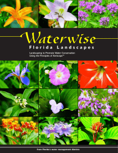 WaterWise Florida Landscapes