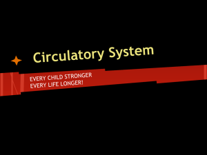 Circulatory System - River Vale Schools
