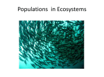 Populations in Ecosystems