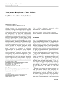 Marijuana: Respiratory Tract Effects