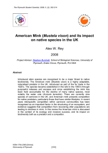 American Mink (Mustela vison) and its impact on native species in
