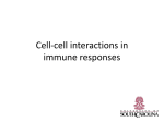 Cell-cell-interactions