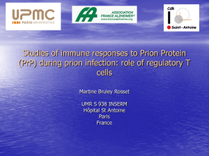 (PrP) during prion infection: role of regulatory T cells