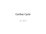 Cardiac Cycle - MrsSconyersAnatomy