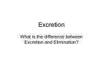 Excretion - Ardsley Schools
