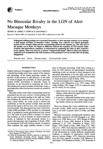 No Binocular Rivalry in the LGN of Alert Macaque Monkeys