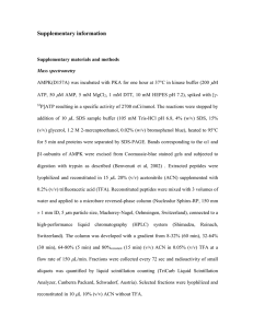 emboj2009339-sup