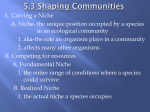 5.3 Shaping Communities