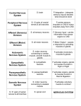 ActivityOrganizationNervousSystem