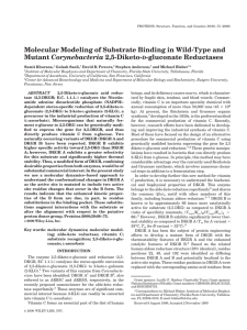 Molecular Modeling of Substrate Binding in Wild