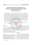 Dynamic Left Ventricular Outflow Tract Obstruction with Cardiogenic