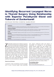 Identifying Recurrent Laryngeal Nerve in Thyroid Surgery Using