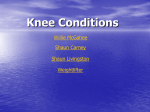 Knee Conditions