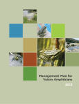 Management Plan for Yukon Amphibians