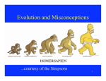 Evolution and Misconceptions