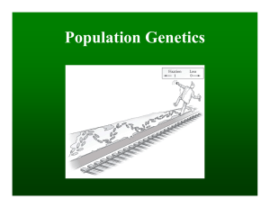 Population Genetics