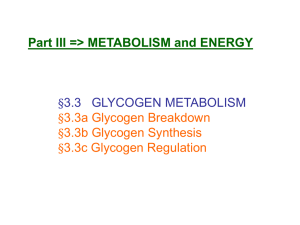 Glycogen