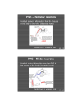 PNS/ANS Overview (Morton)