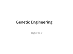 Human Genome Project Genetic Engineering