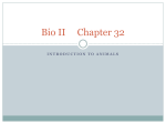 Bio II Chapter 32 - Marissa Junior/Senior High School