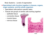 body systems overview - Mercer Island School District