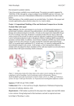 Project 1: Computational Modeling of Flow and Surfactant Transport