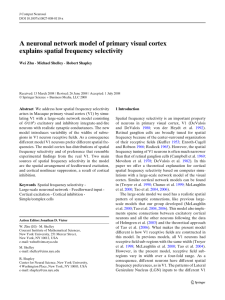 A neuronal network model of primary visual cortex explains spatial