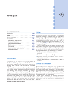 Groin pain - A System of Orthopaedic Medicine