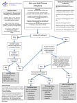 Skin and Soft Tissue Infections Pathway