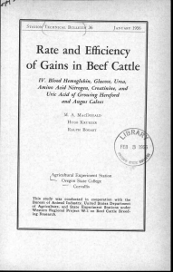 of Gains in Beef Cattle