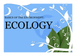 basics of the environment: ecology