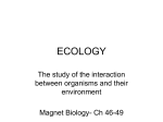 Ecology Powerpoint