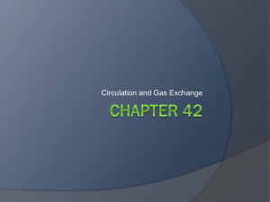 chapter42_circulatio..