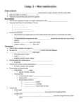 Macromoleucles Notes